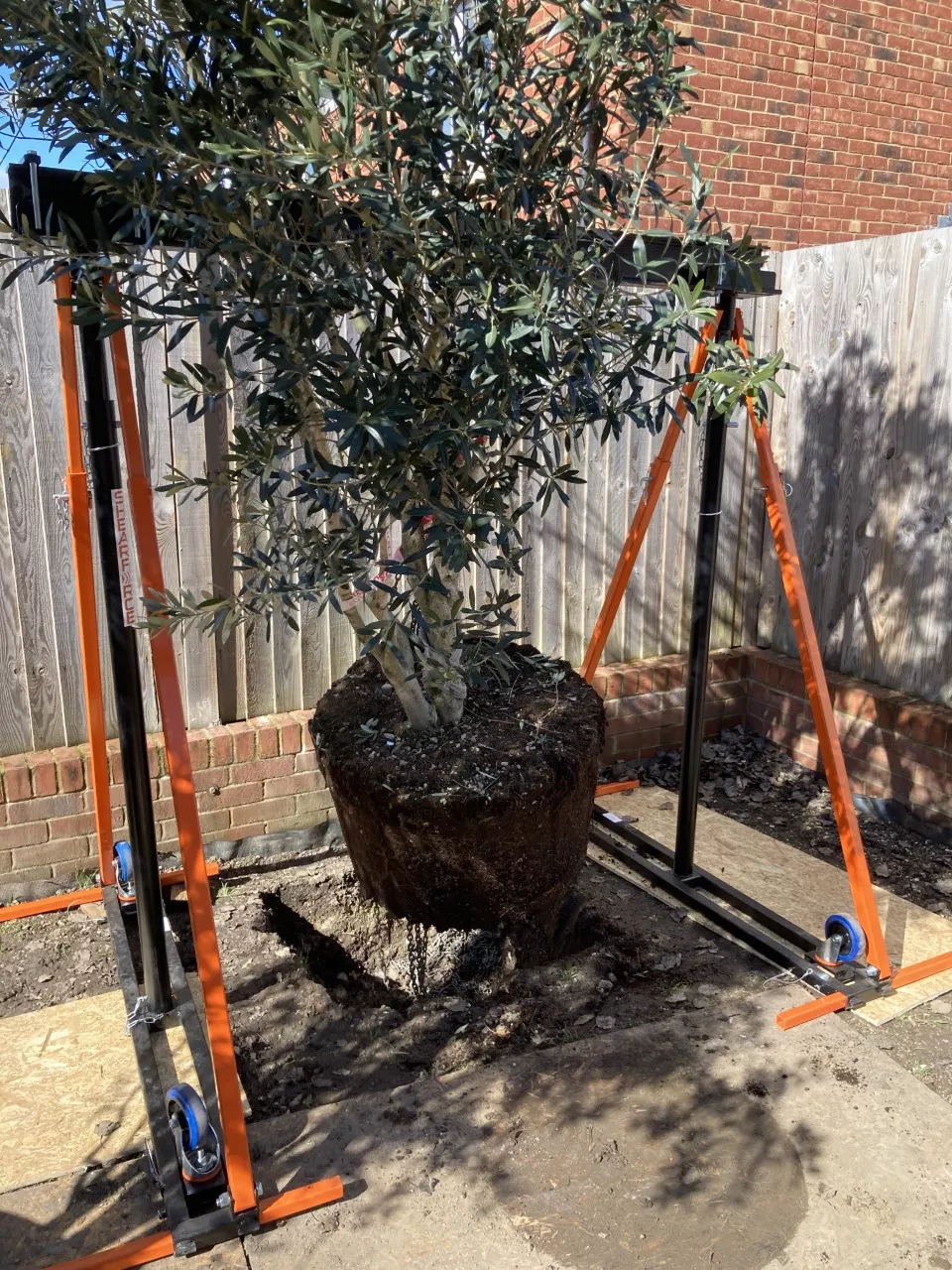 confined space gantry used to pull up a tree